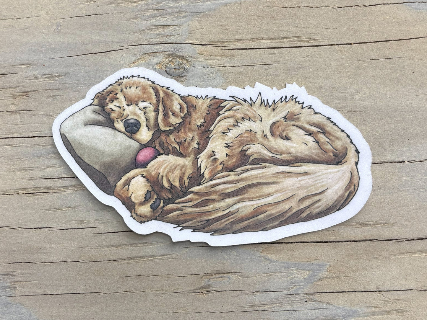 Sleeping Golden Retriever Sticker