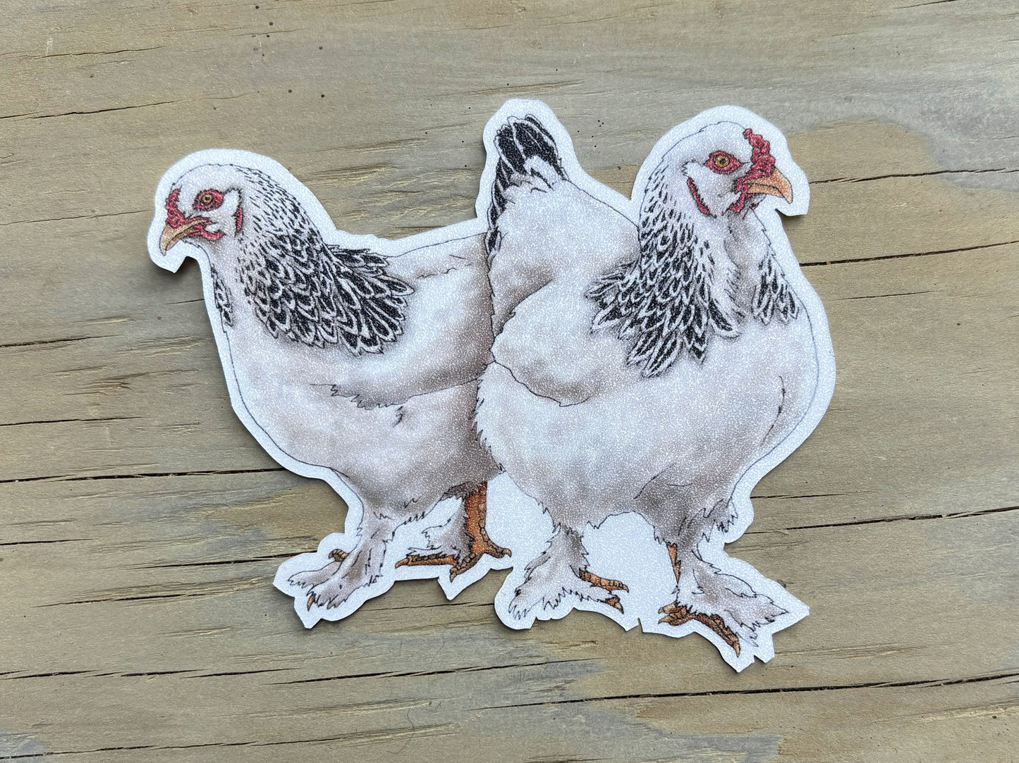 Brahma Chickens Sticker