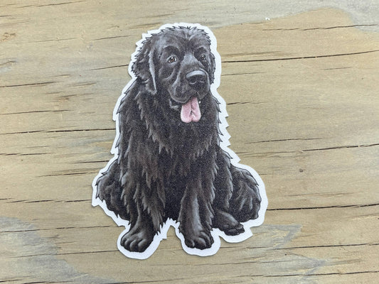 Sitting Newfoundland Sticker